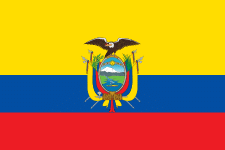 FIFA World Cup 2022 Results: Ecuador